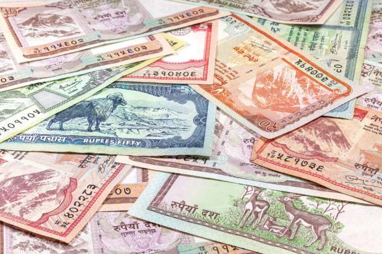 ネパールルピーの紙幣がたくさんある写真