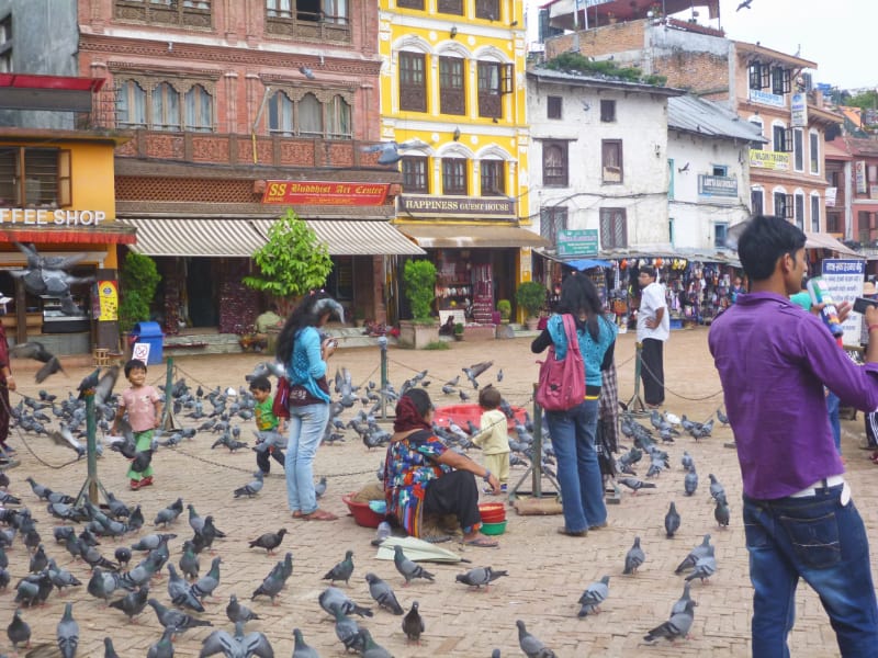広場にたくさんの鳩とネパールの人たちがいる写真