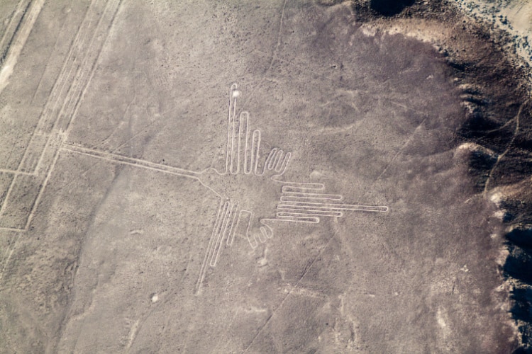 ナスカの地上絵を空から撮った写真。大地に鳥のような絵が浮かぶ