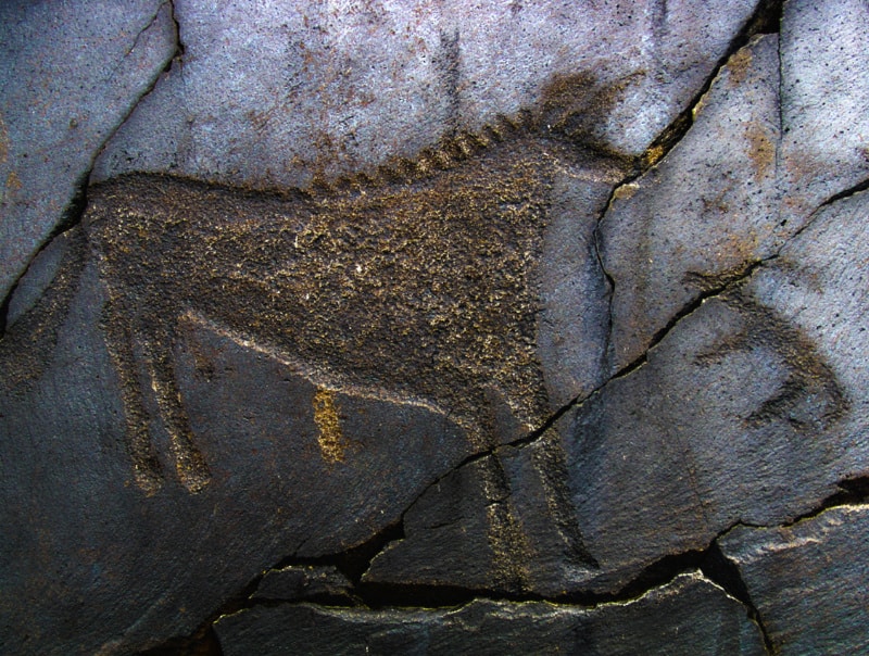 岩に馬のような絵が彫られている写真