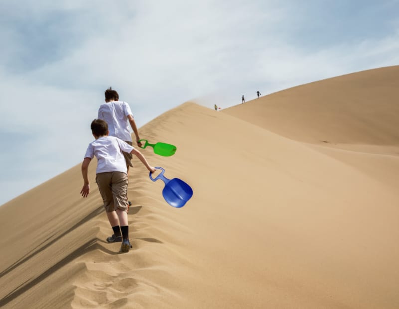 砂丘の上を二人の男の子が登って行っている写真