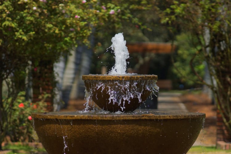 ボゴタ植物園の噴水の写真