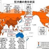 狂犬病の発生状況の世界地図