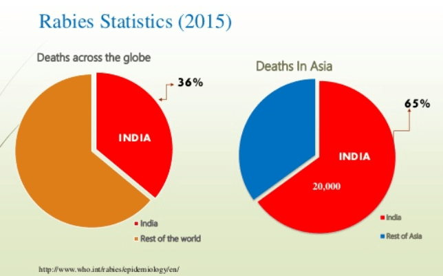 2015年の狂犬病にかんする統計。インドがダントツで多い