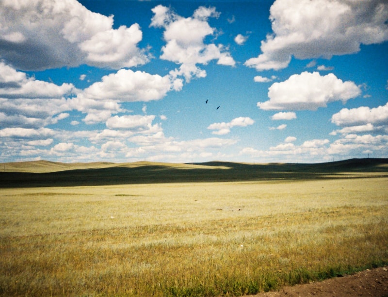 モンゴルの草原と青い空の写真