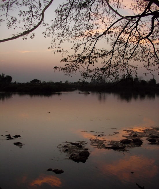 夕方の写真。下半分は川、上半分は木の枝や島が映っている