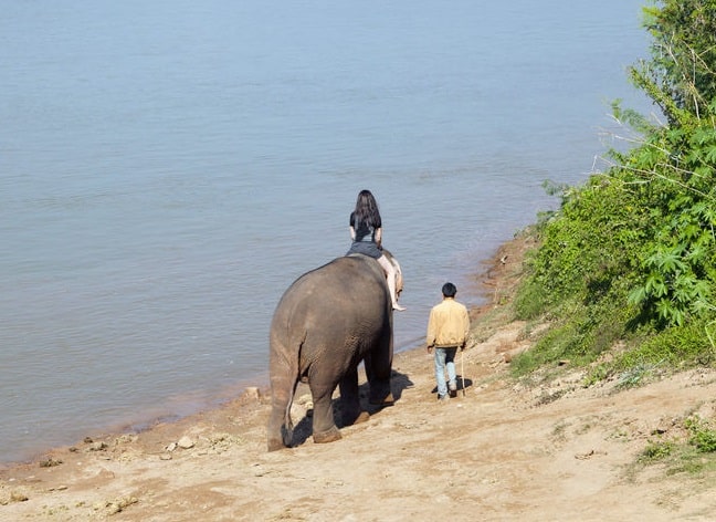 川辺で象に乗っている女性とガイドらしき男性