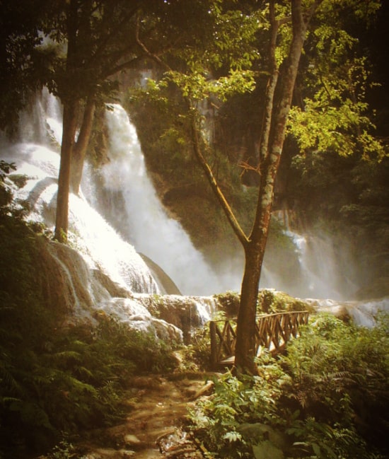 森の中の滝の写真